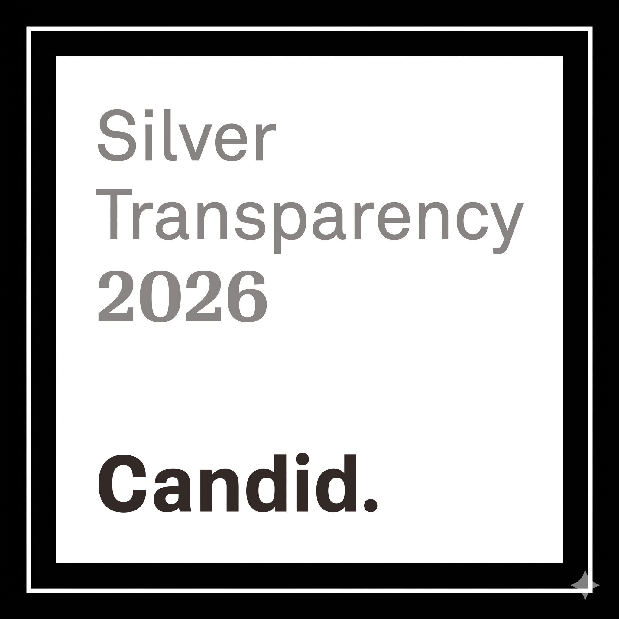 Silver Transparency 2026
